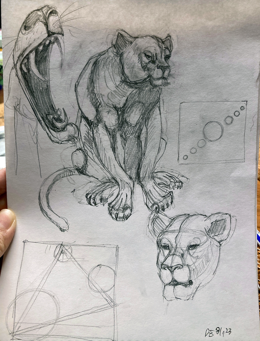 Tigerstudy